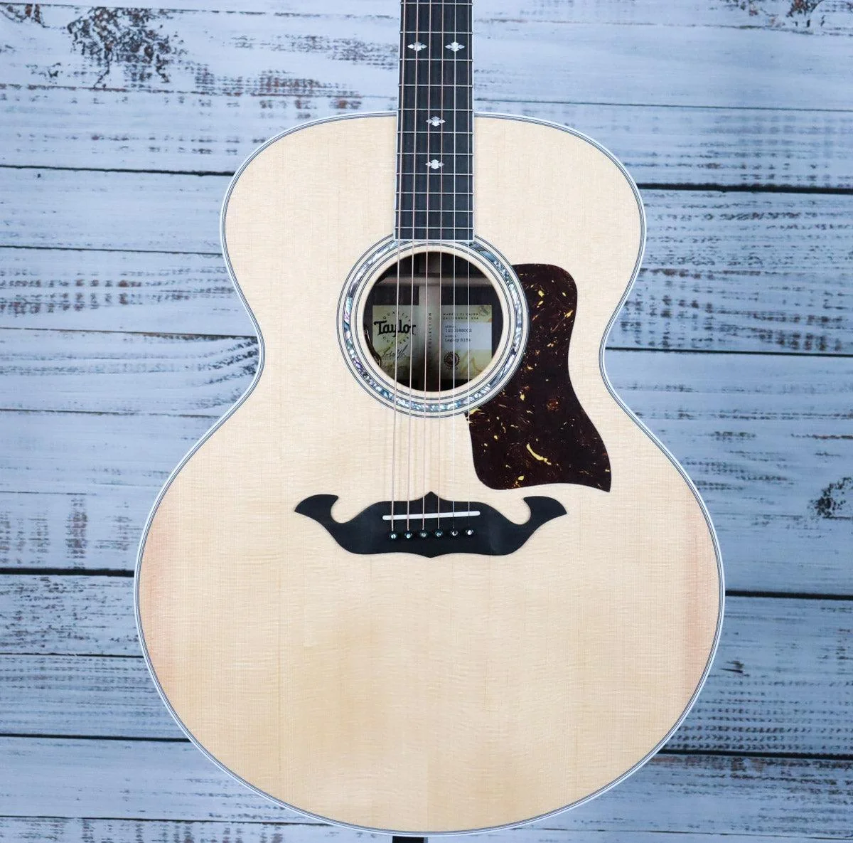 *DEMO* Taylor Legacy 815e | Gloss