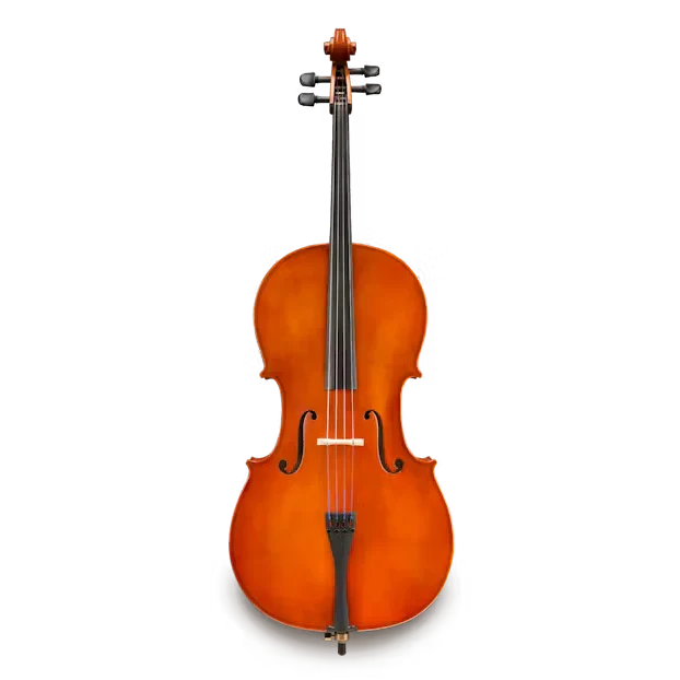 Eastman VC80 Samuel Eastman Student Cello Outfit | 4/4 Size