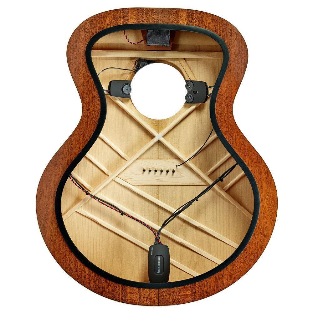 Fishman Matrix Infinity Mic Blend | Wide Format - Image 2