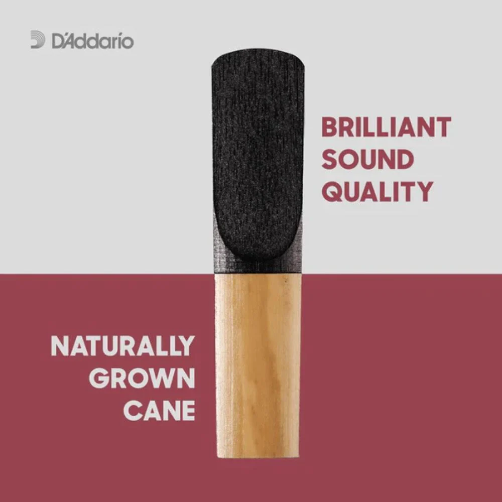D'Addario Plasticover Alto Saxophone Reeds | 3.5 | 5-Pack - Image 2