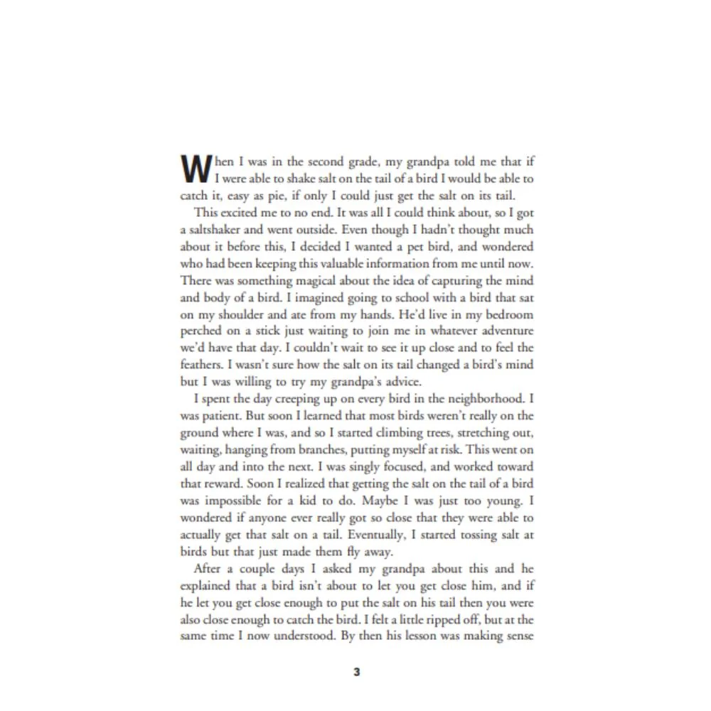 Guitar Lessons: A Life's Journey Turning Passion Into Business | A Bob Taylor Autobiography - Image 2